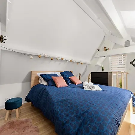 Apartment /denver/cosy-centreville Rouen/netfilx-wifi/ Rouen